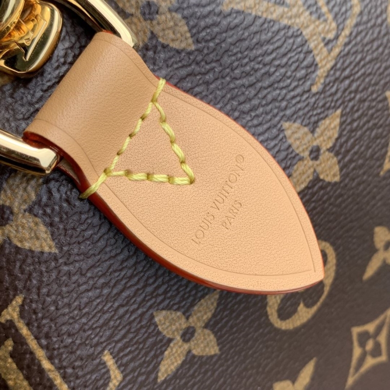 LV Speedy Bags